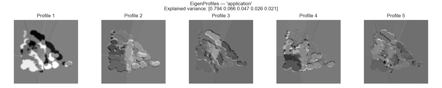 Application eigenprofiles