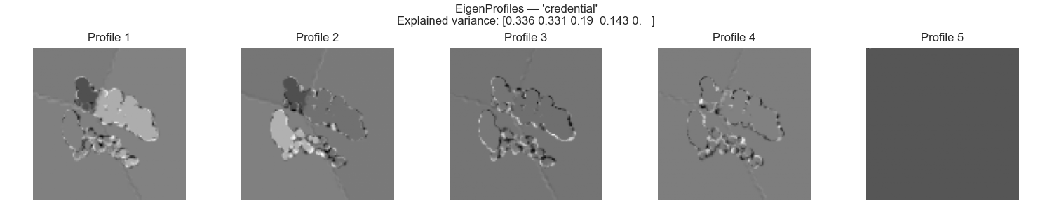 Credential eigenprofiles