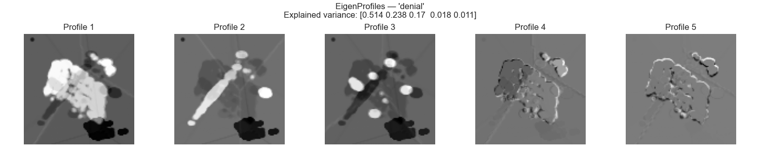 Denial eigenprofiles