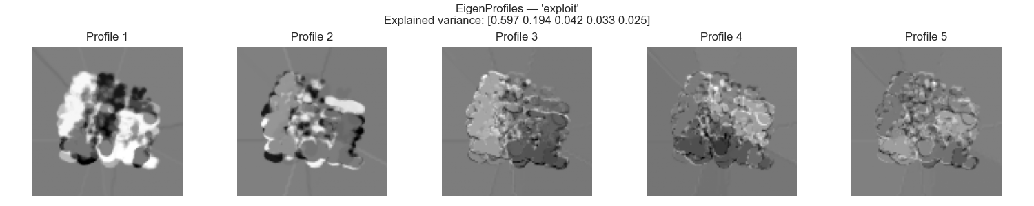 Exploit eigenprofiles